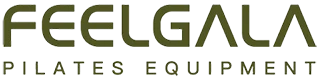 شنژن  دسن  تناسب اندام  فناوری  شرکت،  Ltd.